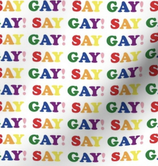 Say Gay